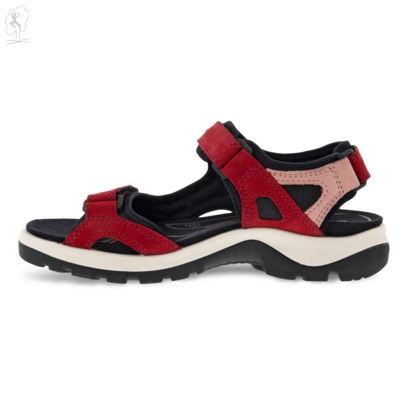 69563 OFFROAD ECCO